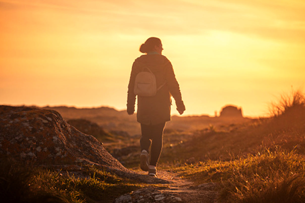 The Pace of the Journey