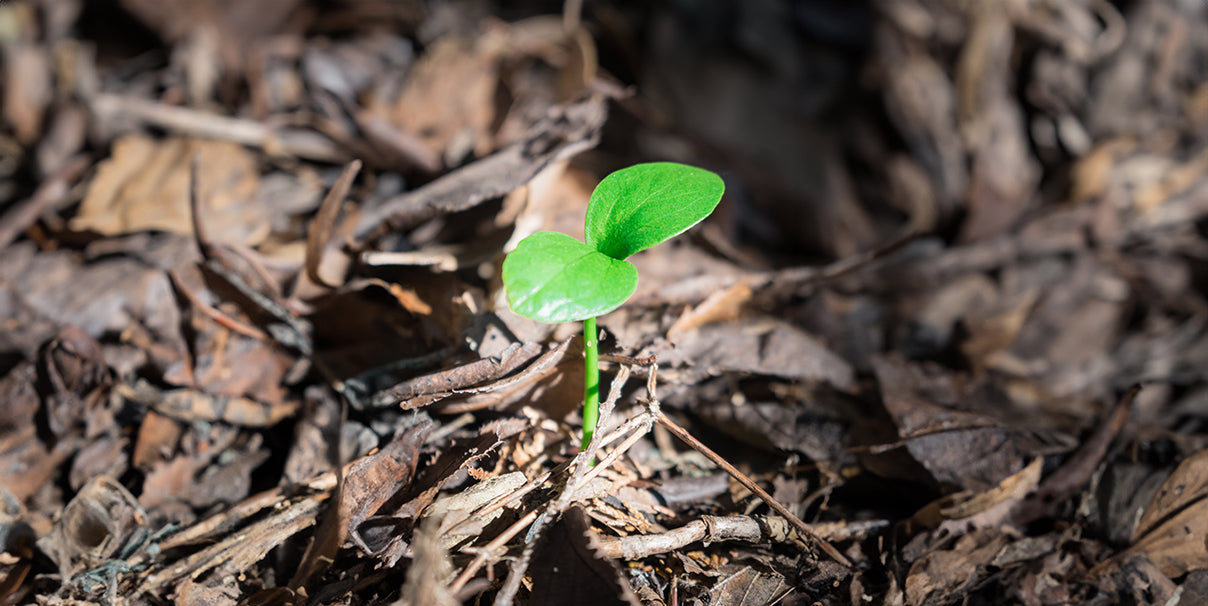 How Silence Changed My Leadership